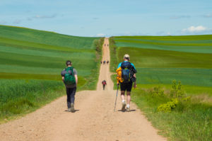 The line of pilgrims on the Camino Frances